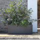 Jardiniere Muret - DEROMA - Millennium R - Anthracite - A réserve d'eau - Roulettes - 99 cm