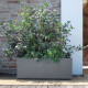Jardiniere Muret - DEROMA - Millennium R - Ashgrey - A réserve d'eau - Roulettes - 99 cm