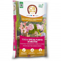 Terreau spécial plantes de bruyere - OR BRUN - OBRTSPDB20N - 20 L