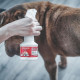 VETOSOIN Spray antiparasitaire, anti-puces et anti-tiques au Fipronil - 250 ml - Pour chat et chien