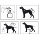 VETOSOIN Spray antiparasitaire, anti-puces et anti-tiques au Fipronil - 250 ml - Pour chat et chien