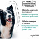 VETOCANIS Collier antiparasitaire - Moyen Chien