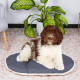 Coussin - FERPLAST - RELAX 78/8 - 78 x 50 cm - Tissu et fourrure