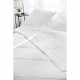Couette - TOISON D'OR - SILKYDOR - 220 x 240 cm - Chaleur tempérée en coton et soie de mûrier