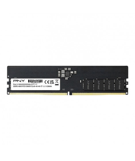 Mémoire - PNY - PERFORMANCE DDR5 - 16GB - 4800MHz