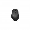 Souris - Sans fil - Rapoo - MT550 - Noir