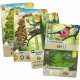 Jeu de société - ASMODEE - LKGFOM01FR - Foret mixte - 180 cartes - 60 min de jeu