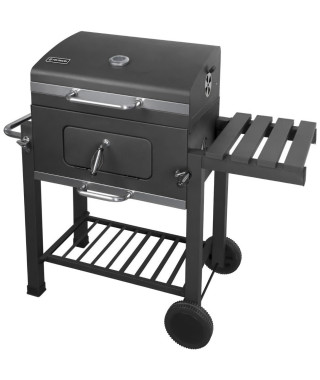 Barbecue au charbon de bois - Fieldmann - FZG 1008