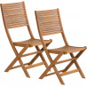Chaise pliante 2 pcs - Fieldmann - FDZN 4012-T