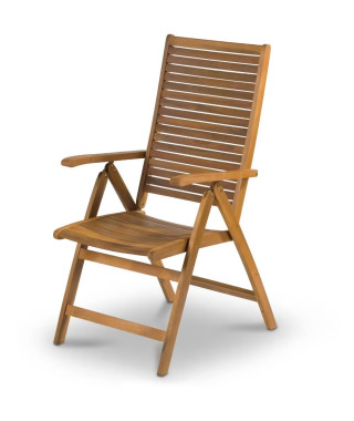 Chaise réglable - Fieldmann - FDZN 4101-T