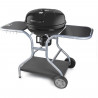 Barbecue au charbon de bois - Fieldmann - FZG 1014