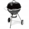Barbecue au charbon de bois - Fieldmann - FZG 1017