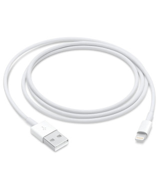 Câble Lightning vers USB - APPLE - 1 m