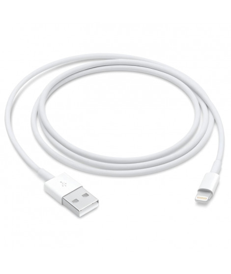 Câble Lightning vers USB - APPLE - 1 m