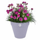 Pot de fleur - Elho - Loft Urban Rond - Roues 40 - Violet - L 39 x B 38.5 x H 35 cm - Extérieur - 100% recyclé