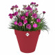 Pot de fleur - Elho - Loft Urban Rond - Roues 40 - Rouge - L 39 x B 38.5 x H 35 cm - Extérieur - 100% recyclé