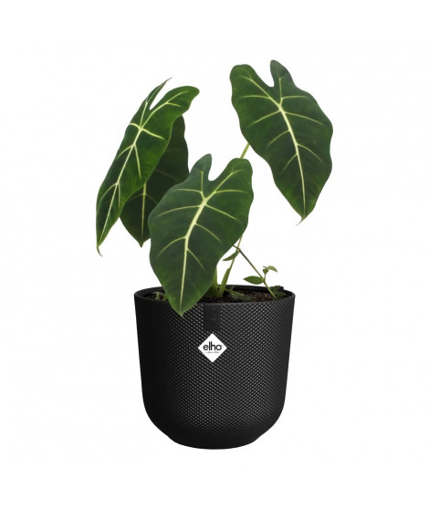 Pot de fleur - Elho - Jazz Rond - Noir - Ø 26 x H 24 cm - Intérieur - 100% recyclé