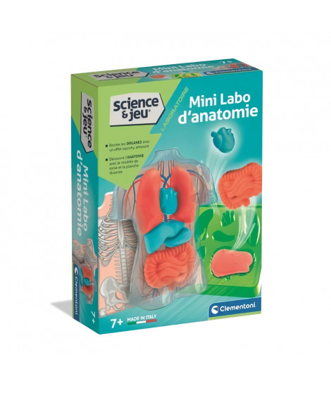 Mini Labo d'anatomie CLEMENTONI
