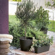 Jardiniere - DEROMA - Origin -  12 L - Grigio