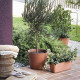 Pot de fleurs - DEROMA - Origin - 45 L - Terre cuite