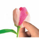 CLEMENTONI - Crée tes fleurs - Tulipe