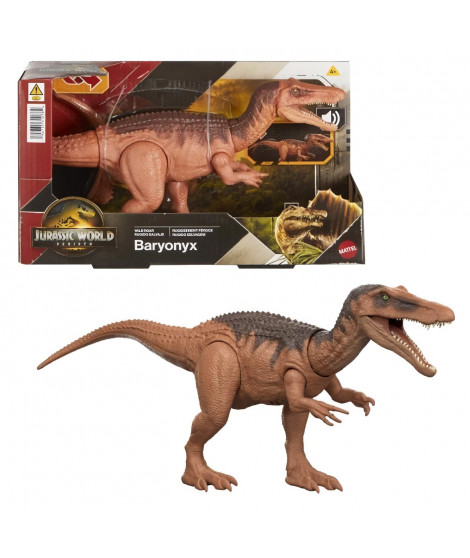 SAGA BARYONYX SONORE