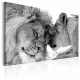 Tableau - Lion's Love